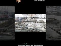 کیسه ایستاده روتاری خودکار ماشین پر کردن میان وعده ها ماشین بسته بندی مواد غذایی حیوانات خانگی سبزیجات خشک خشک شده