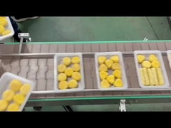 دستگاه بسته بندی خودکار سینی 4R با شستشوی گاز خلاء