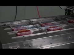 دستگاه مهر و موم خودکار ظرف مرغ کباب